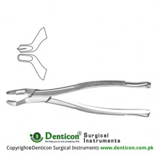American Pattern Tooth Extracting Forcep Fig. 53L (For Upper Left Molars) Stainless Steel, Standard